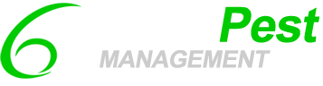 Betta Pest Management |  Perth CBD & Suburbs